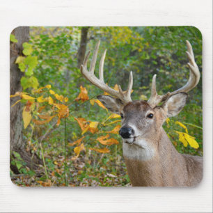 Buck Deer in Woods Mouse Mat