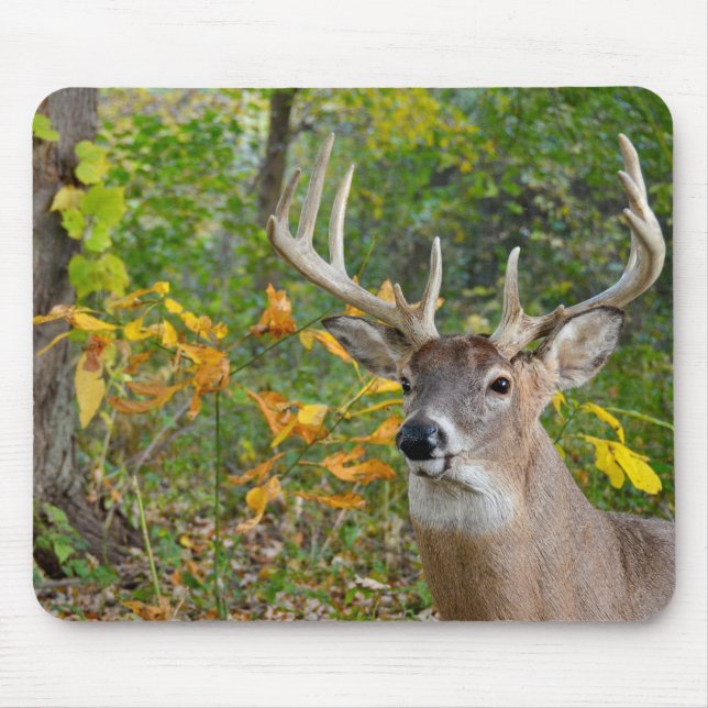 Buck Deer in Woods Mouse Mat (Front)