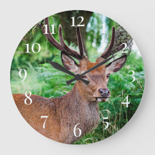 Buck Deer Large Clock