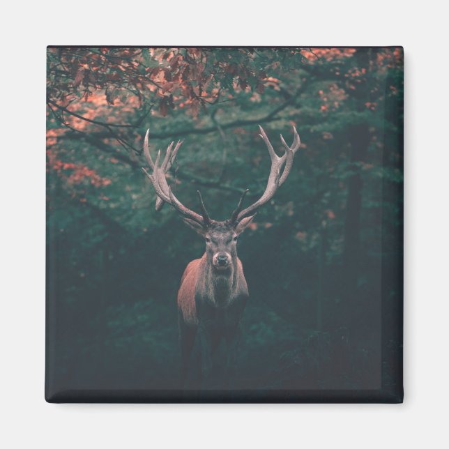 Buck Deer Wild Animal Magnet (Front)