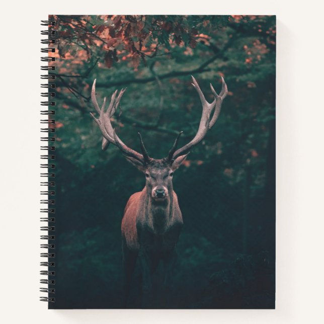 Buck Deer Wild Animal Notebook (Front)