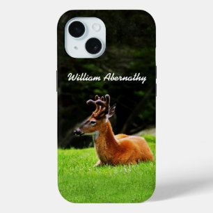 Buck Deer with Velvet antlers forest background iPhone 15 Case