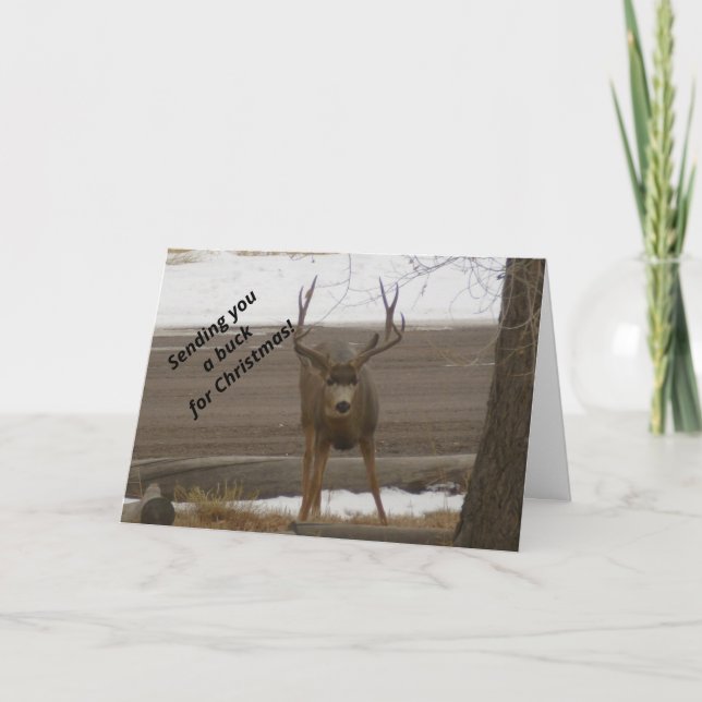 Buck For Christmas Greeting Card (Front)
