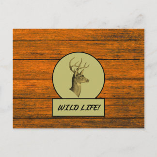 Buck Head Wood Grain Postcard