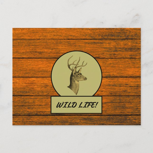 Buck Head Wood Grain Postcard (Front)