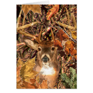 Buck in Camo White Tail Deer