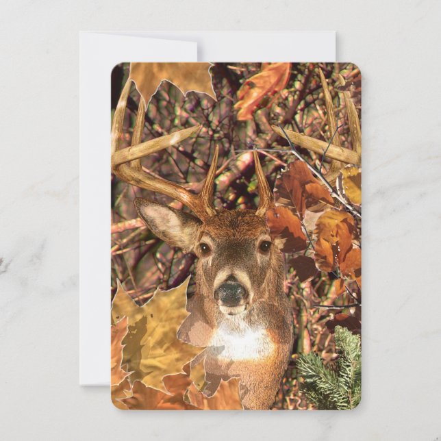 Buck in Camo White Tail Deer (Front)