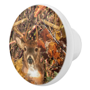 Buck in Camo White Tail Deer Ceramic Knob