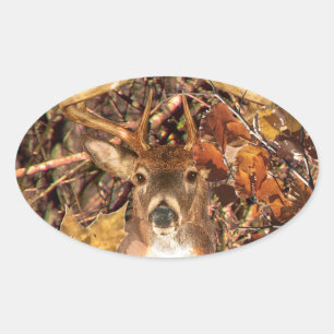 Buck in Camo White Tail Deer Oval Sticker