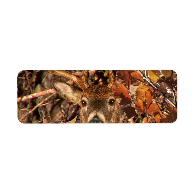 Buck in Camouflage White Tail Deer (Front)