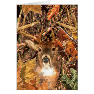 Buck in Camouflage White Tail Deer