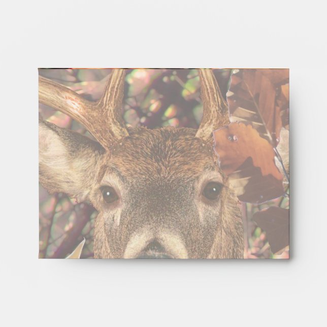 Buck in Camouflage White Tail Deer Envelope (Front)