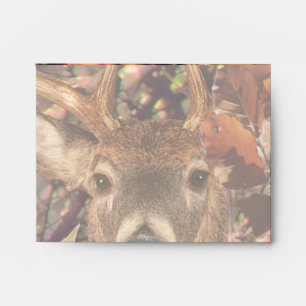 Buck in Camouflage White Tail Deer Envelope