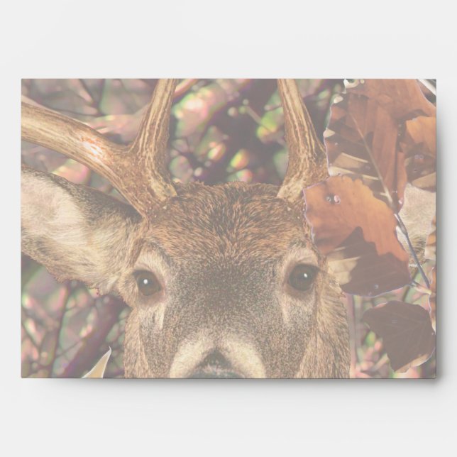 Buck in Camouflage White Tail Deer Envelope (Front)