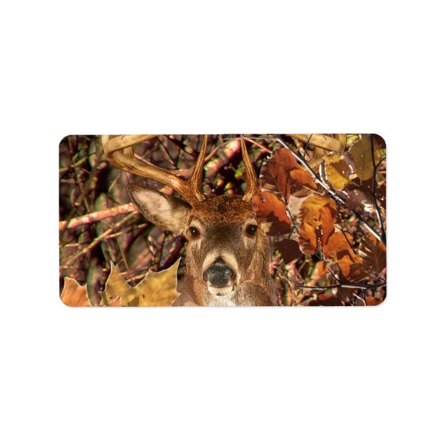 Buck in Camouflage White Tail Deer Label (Front)