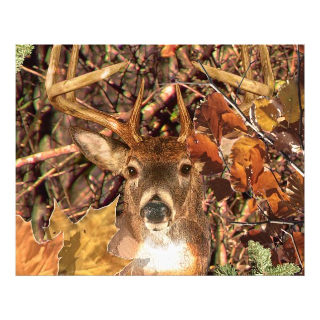 Buck in Camouflage White Tail Deer Photo Print (Front)
