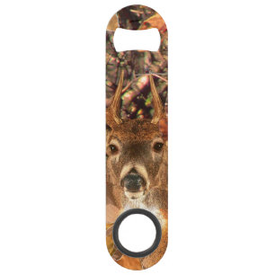 Buck in Fall Camo White Tail Deer