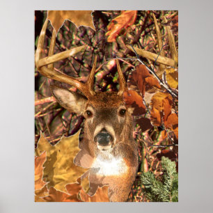 Buck in Fall Camo White Tail Deer Poster