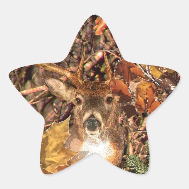 Buck in Hunter Camo White Tail Deer Star Sticker (Front)