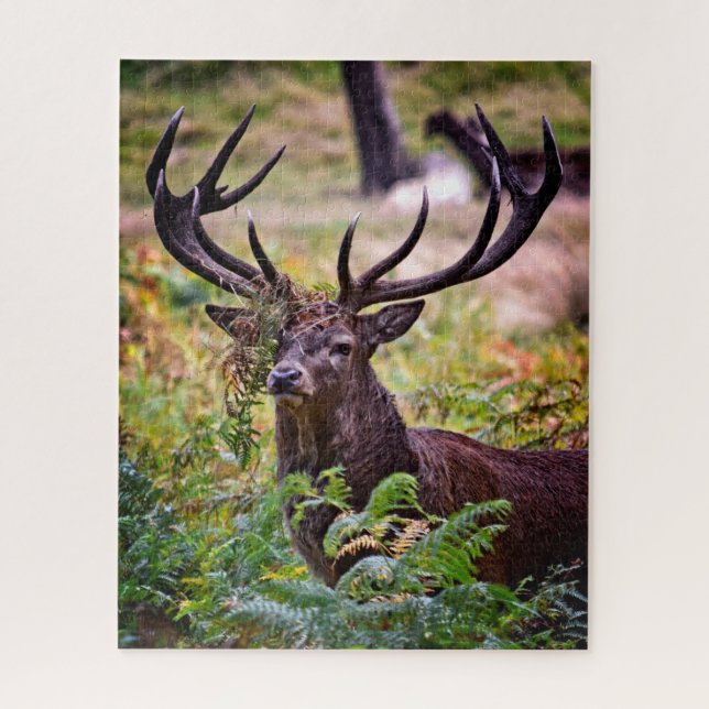 Buck in Richmond Park - 16x20 - 520 pieces Jigsaw Puzzle (Vertical)