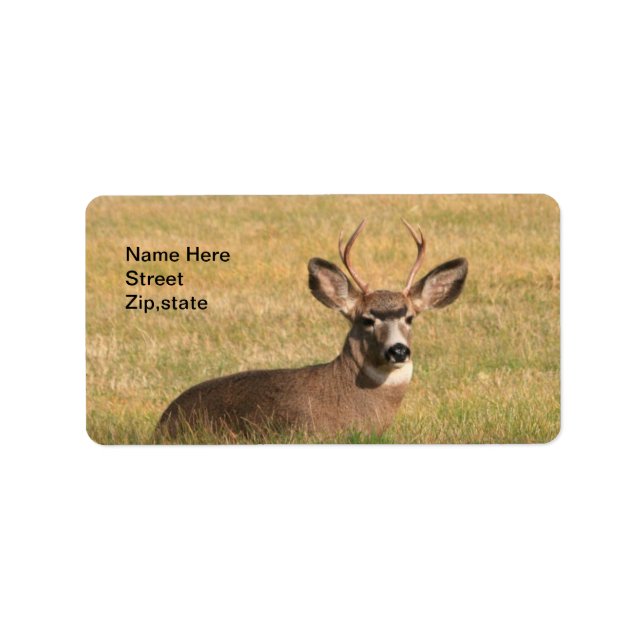 Buck In The Grass Address Label (Front)