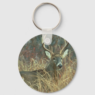 Buck in the Grass Key Ring
