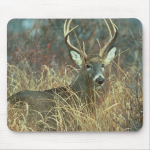 Buck in the Grass Mouse Mat