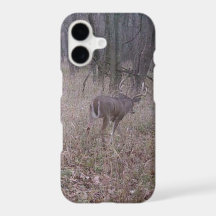 Buck in the woods iphone case
