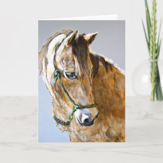 Buck of the Morgan Horse Ranch, PRNS Card