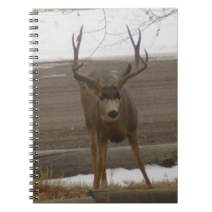 Buck Spiral Notebook
