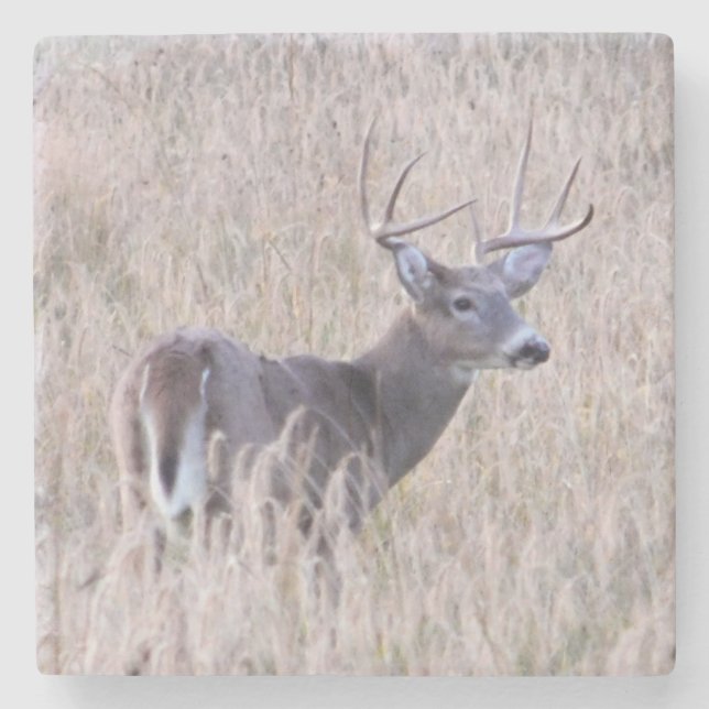 Buck Stops Here Stone Coaster (Front)