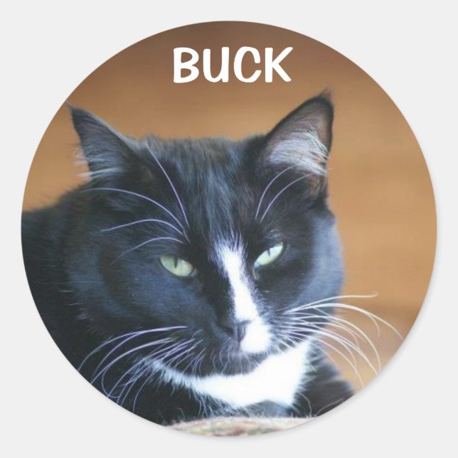 BUCK THE WONDERCAT STICKER (Front)