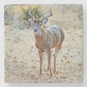 Buck Wild Deer in Texas Stone Coaster