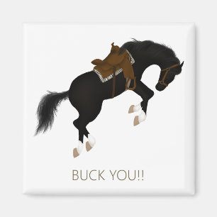 Buck You! Funny Black Horse Magnet
