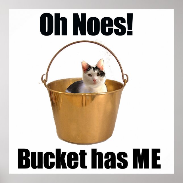 Bucket Cat Poster (Front)