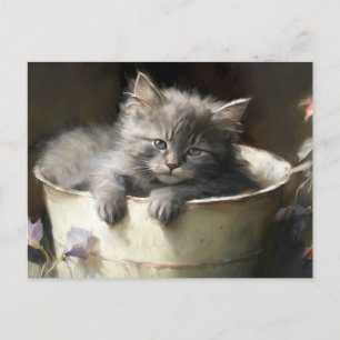 Bucket Full Of Joy Sweet Grey Kitten Postcard