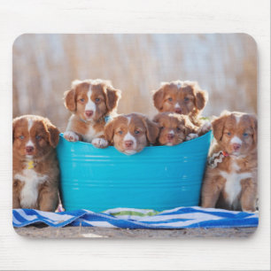 Bucket Of Puppies On The Beach Mouse Mat