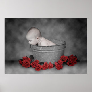 Bucket & Roses Poster