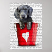 Buckets of Love Dachshund Puppy