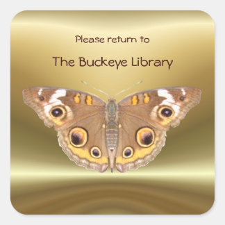 Buckeye butterfly Bookplate 2 ~ sticker