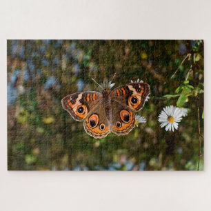 Buckeye Butterfly. Jigsaw Puzzle