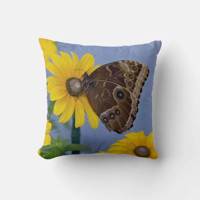 Buckeye Butterfly on Yellow Daisy Cushion (Front)