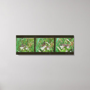 Buckeye Butterfly Triptych Canvas Print