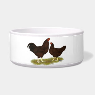 Buckeye Chickens