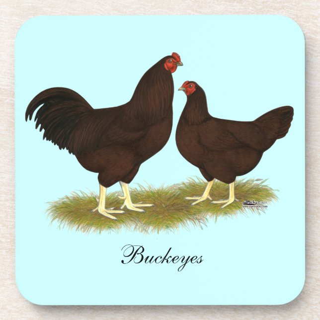 Buckeye Chickens Coaster (Front)