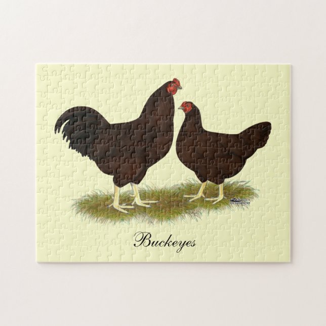 Buckeye Chickens Jigsaw Puzzle (Horizontal)