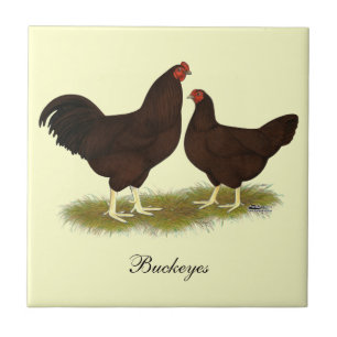 Buckeye Chickens Tile