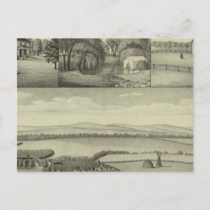 Buckeye Farm, Chase County, Kansas Postcard