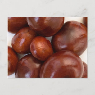 Buckeye Postcard