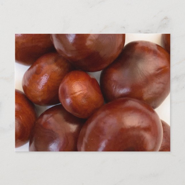 Buckeye Postcard (Front)